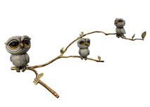 Carlos and Albert Carlos and Albert Owl Family on Branch 